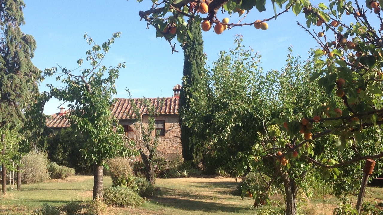 Photo of Outdoor in Radicondoli