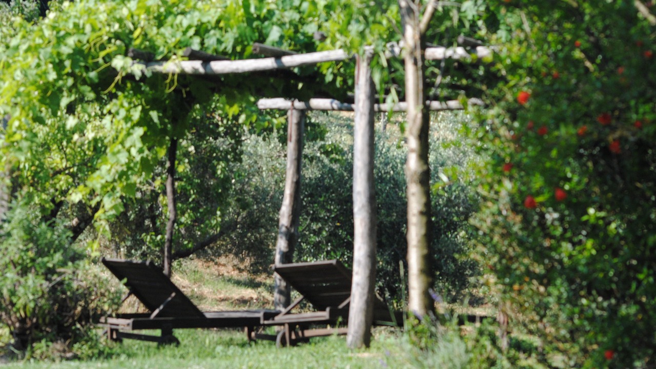 Photo of Others in Radicondoli