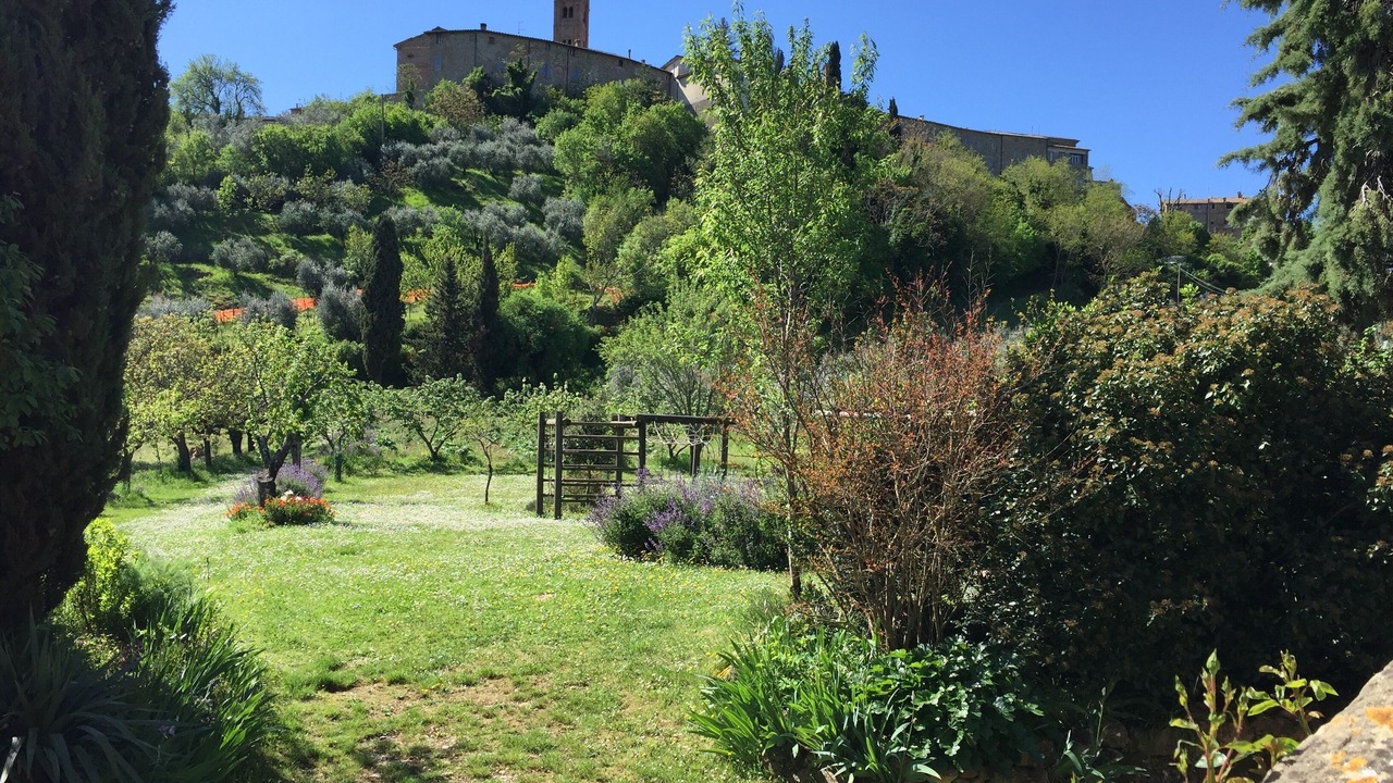 Photo of Outdoor in Radicondoli