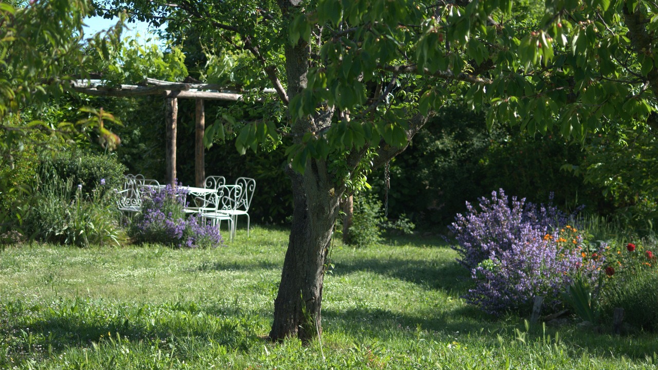 Photo of Outdoor in Radicondoli