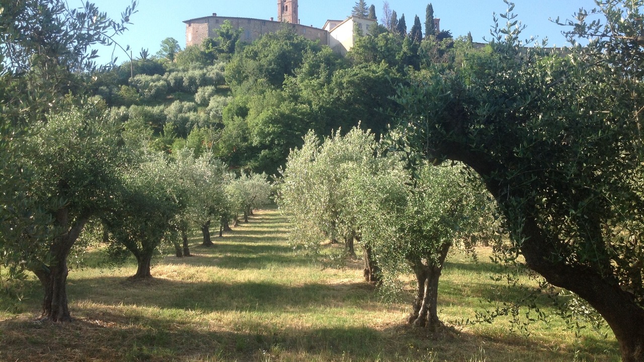 Photo of Others in Radicondoli