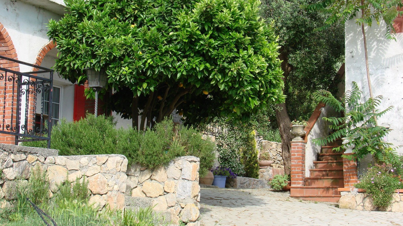 Photo of Outdoor in Castelnuovo Magra