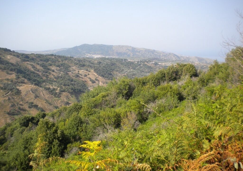 Photo of Outdoor in Marina di Davoli