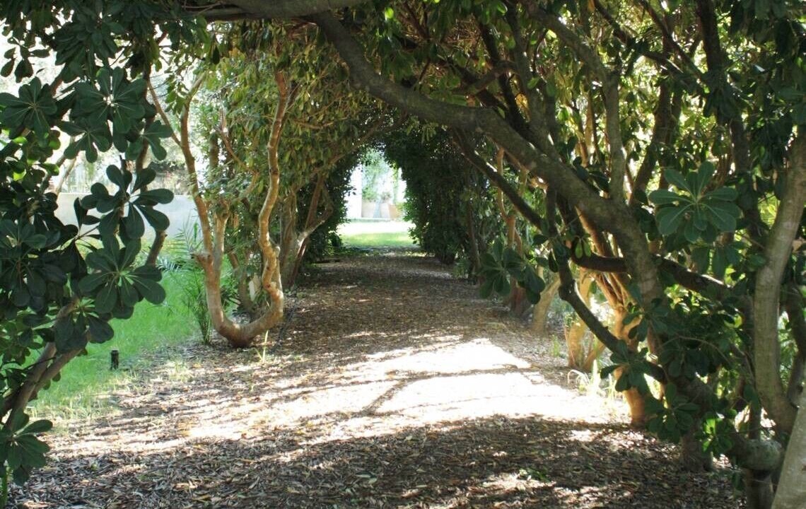 Photo of Outdoor in Lizzanello