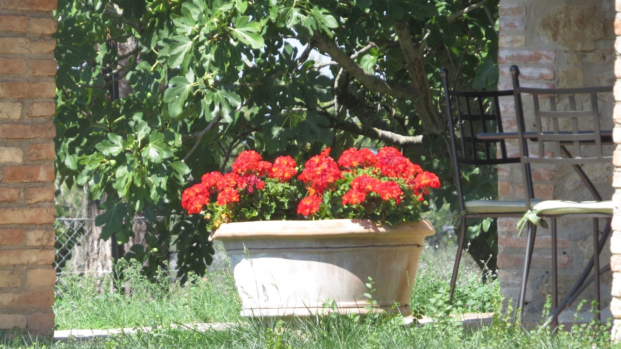 Photo of Outdoor in Gualdo Cattaneo