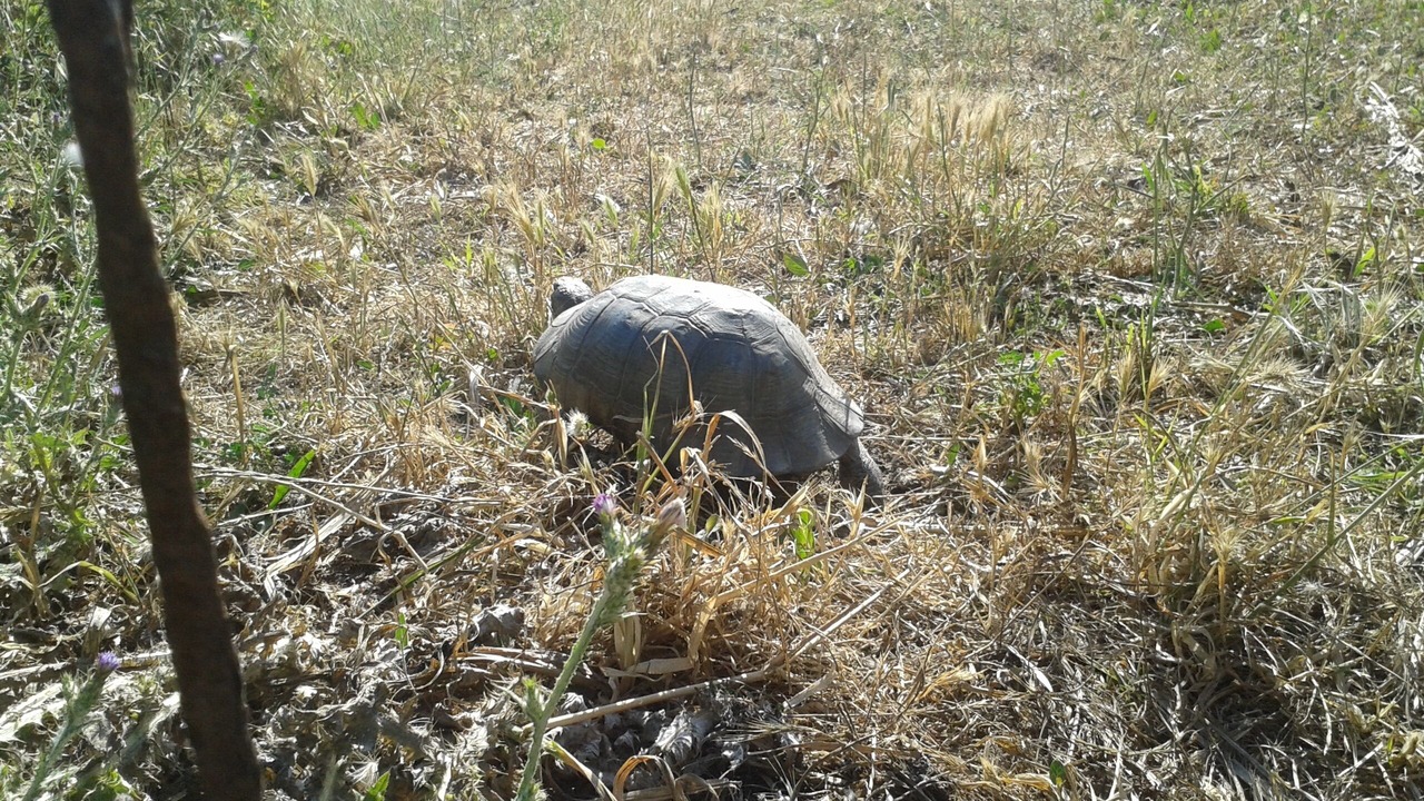 Photo of Outdoor in Santa Teresa di Gallura