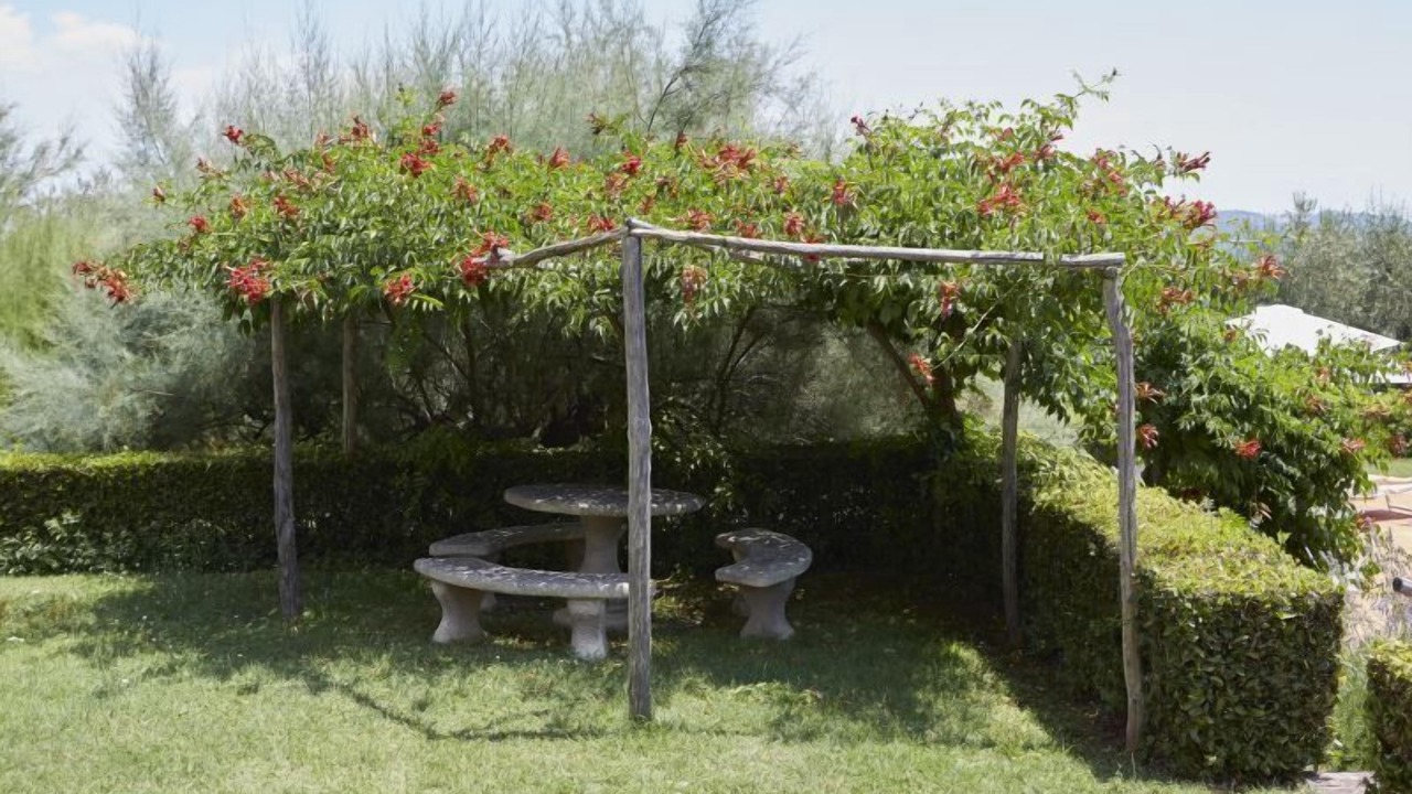 Photo of Outdoor in Sovicille