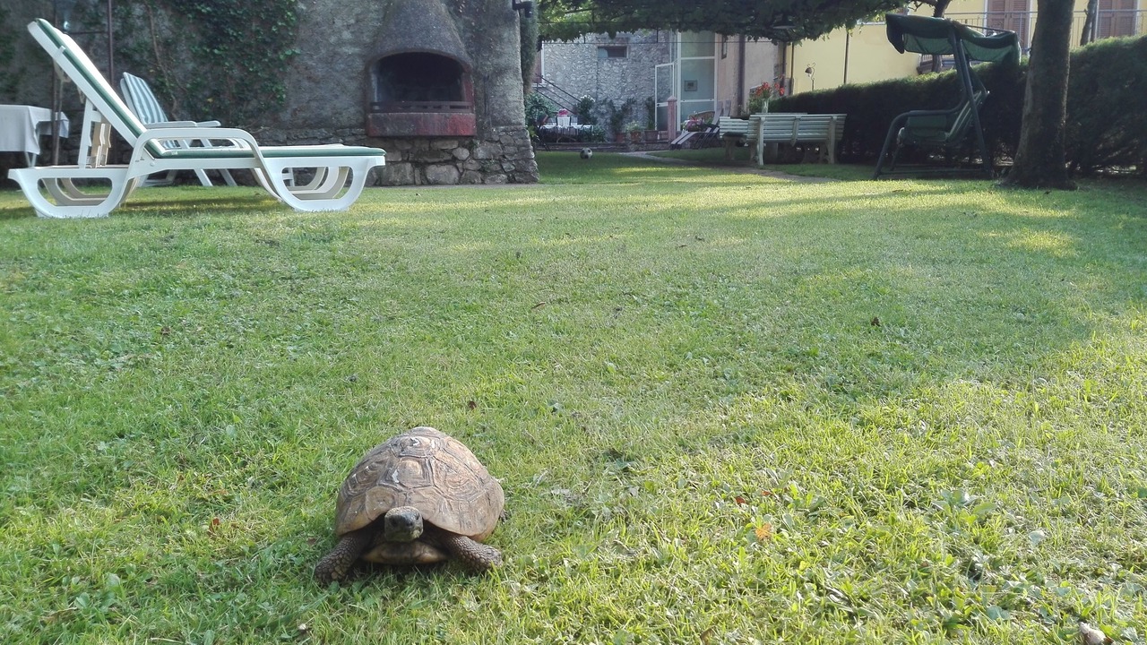 Photo of Outdoor in Brenzone sul Garda