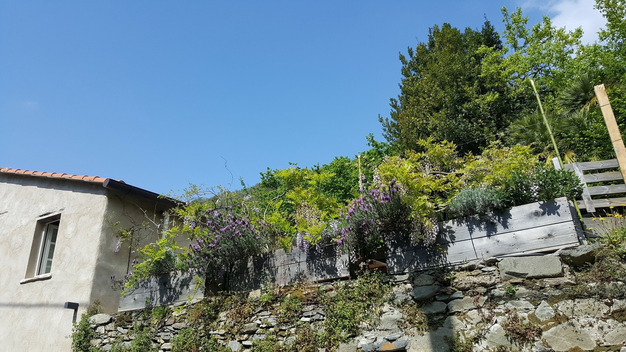 Photo of Outdoor in Ortonovo