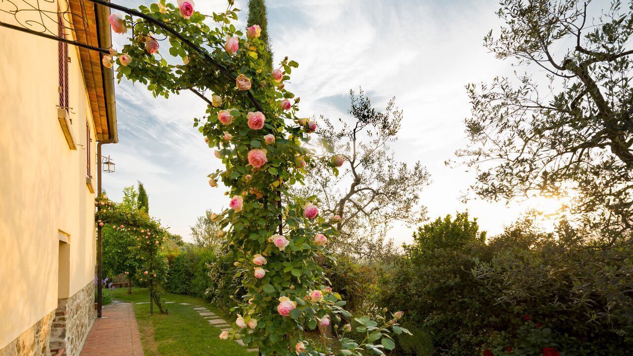 Photo of Outdoor in Monte San Savino