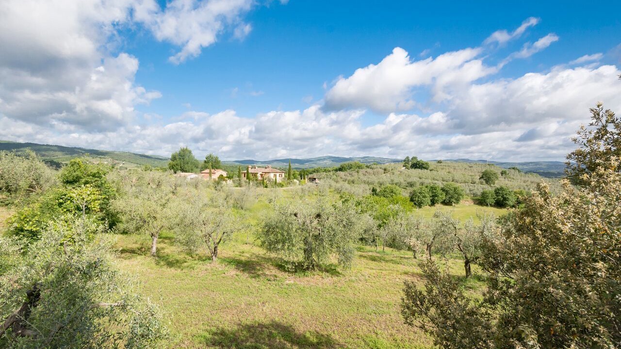 Photo of Outdoor in Monte San Savino