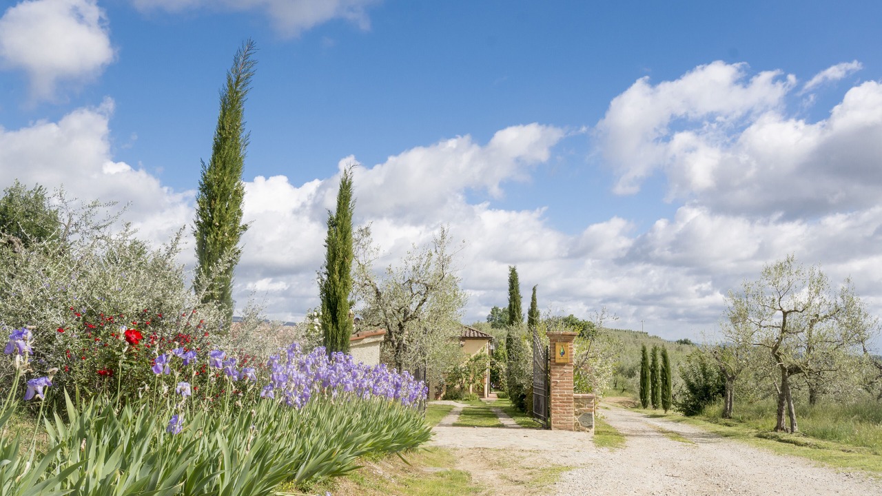 Photo of Outdoor in Monte San Savino