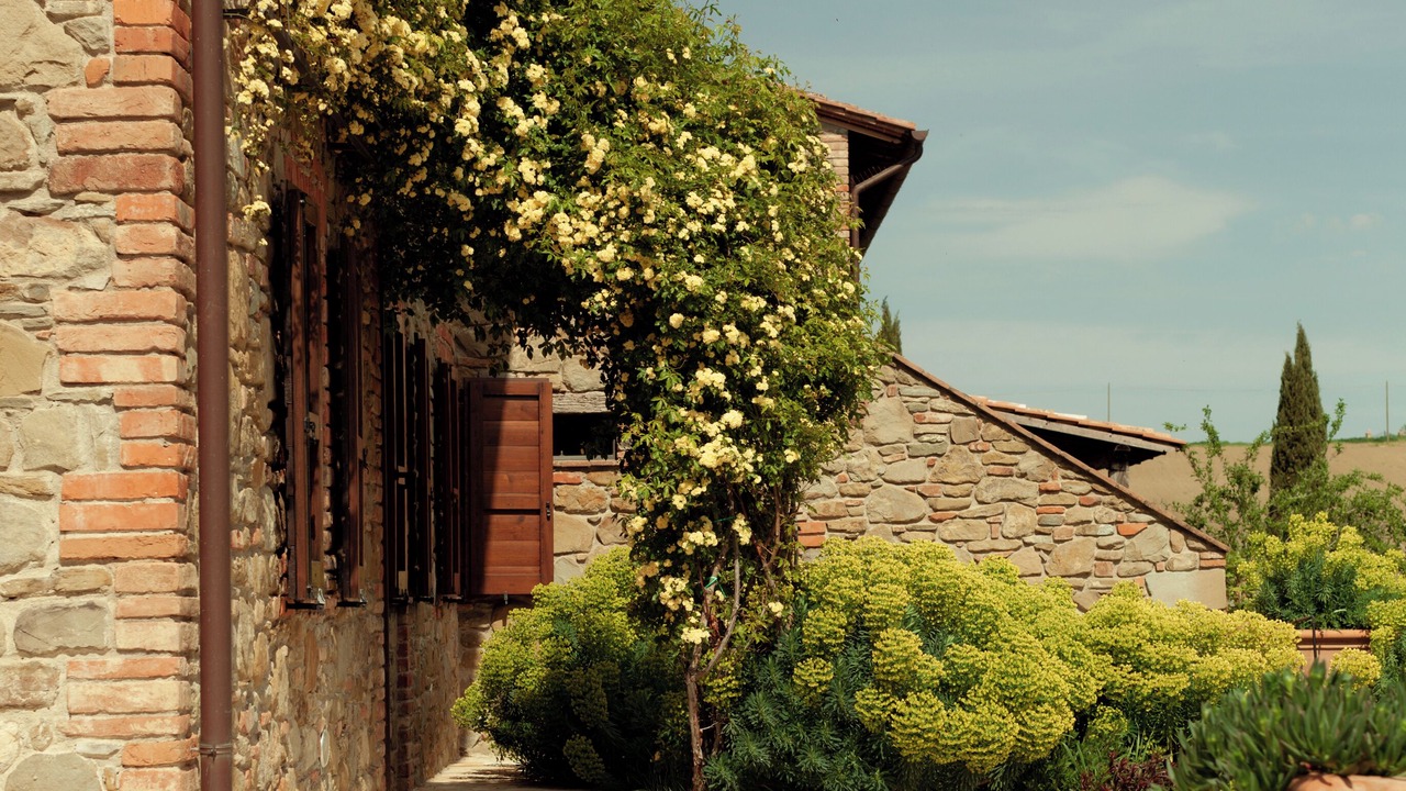 Photo of Outdoor in Paciano