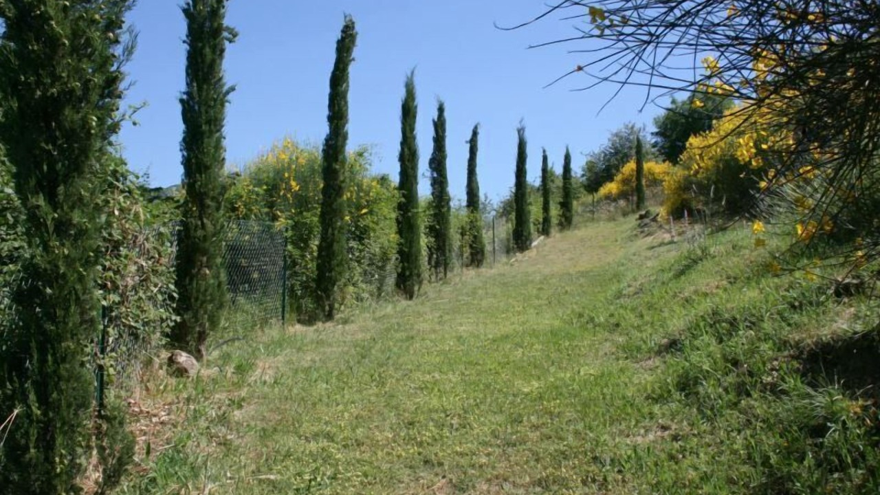 Photo of Outdoor in Subbiano