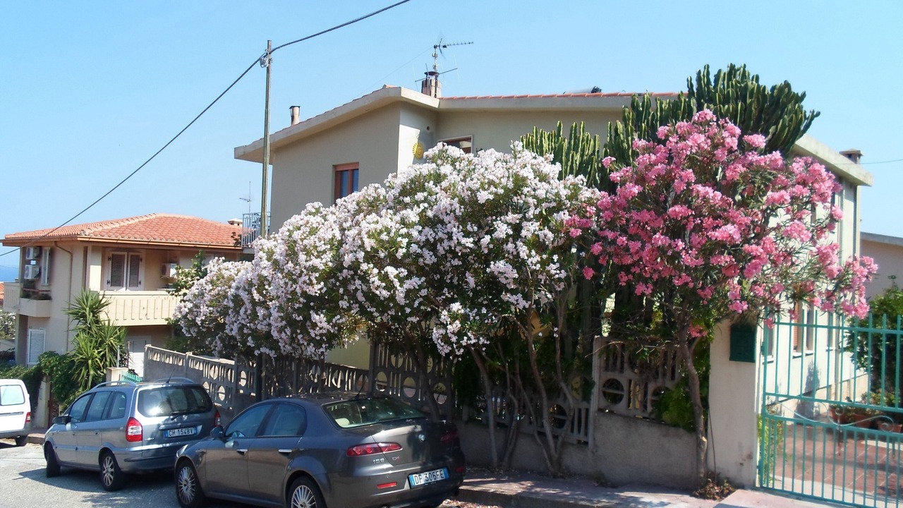 Photo of Others in Cala Gonone