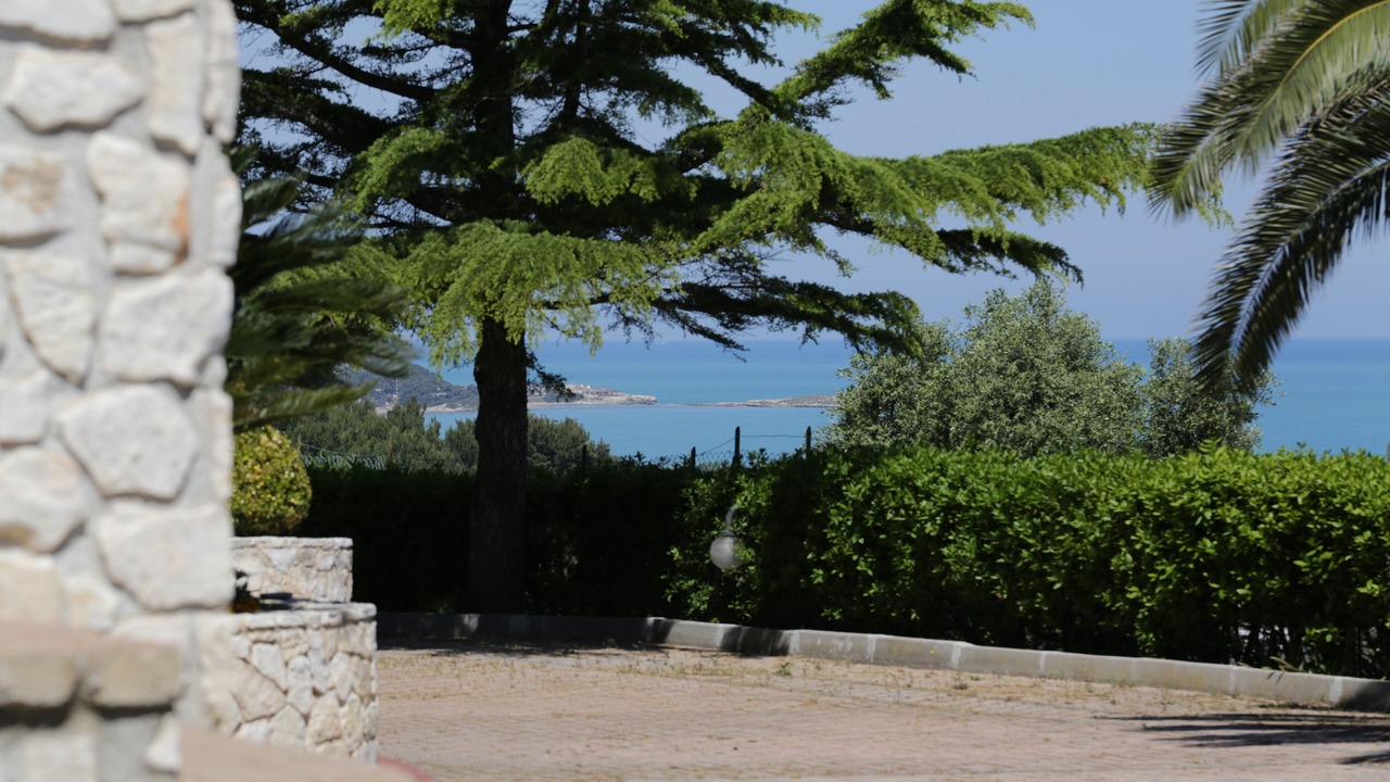 Photo of Outdoor in Defensola