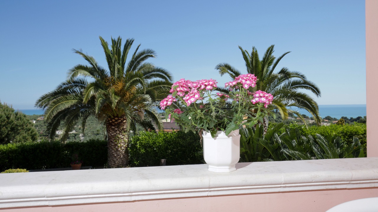 Photo of Outdoor in Defensola
