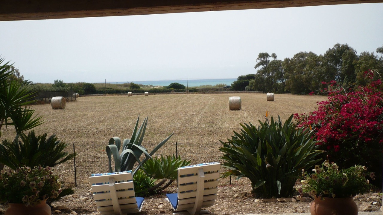 Photo of Outdoor in Sampieri