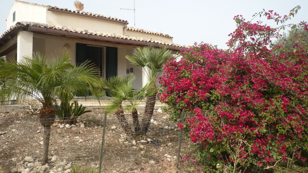 Photo of Outdoor in Sampieri