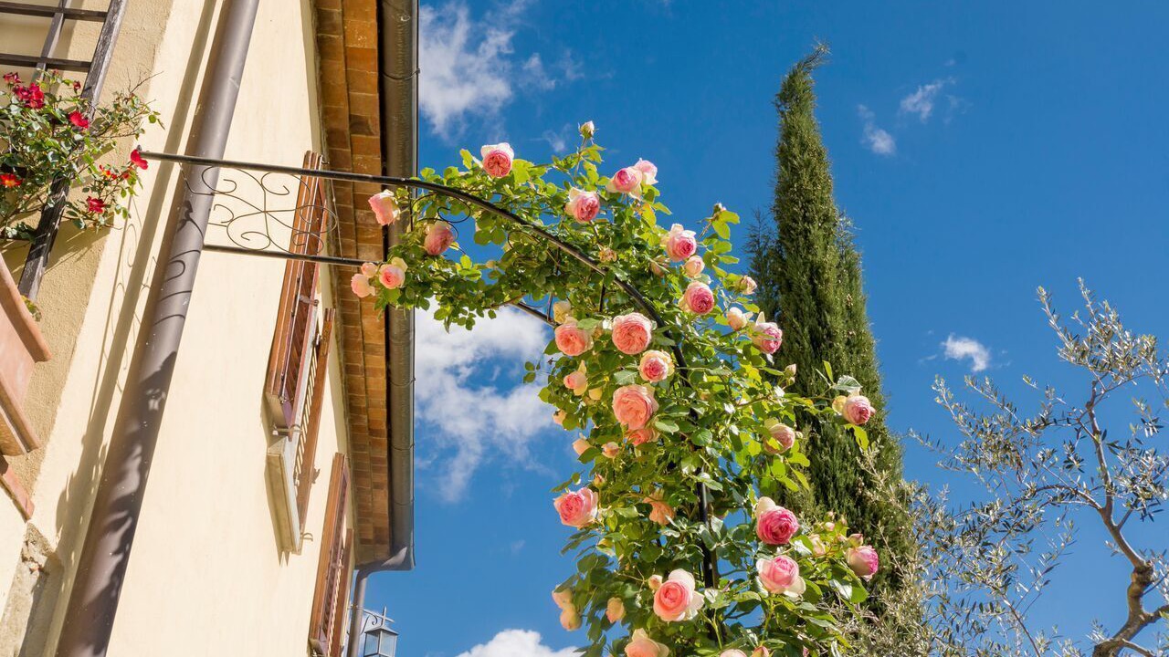 Photo of Outdoor in Monte San Savino