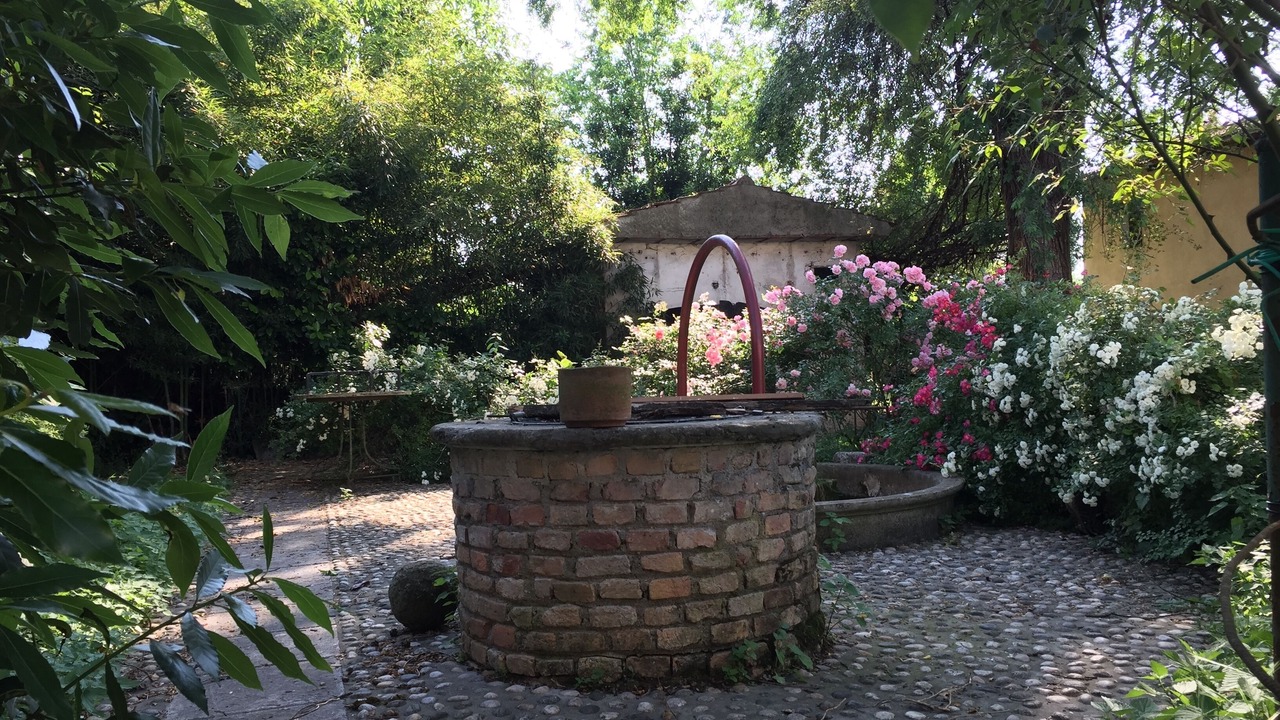 Photo of Outdoor in Salgareda