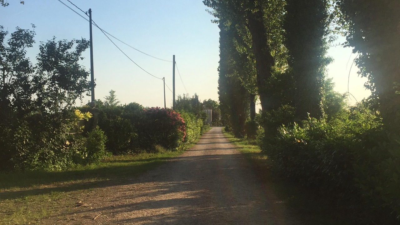 Photo of Outdoor in Salgareda