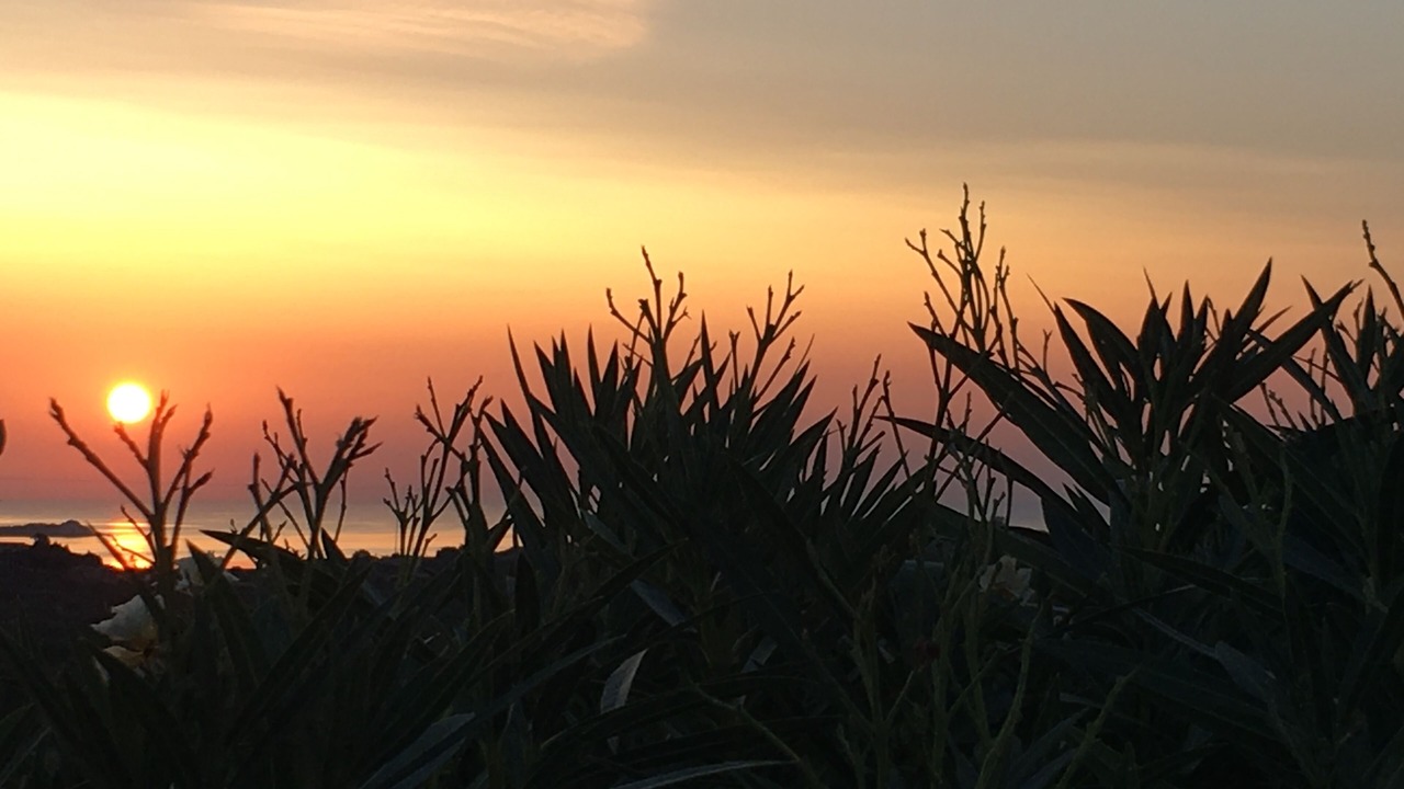 Photo of Others in San Teodoro
