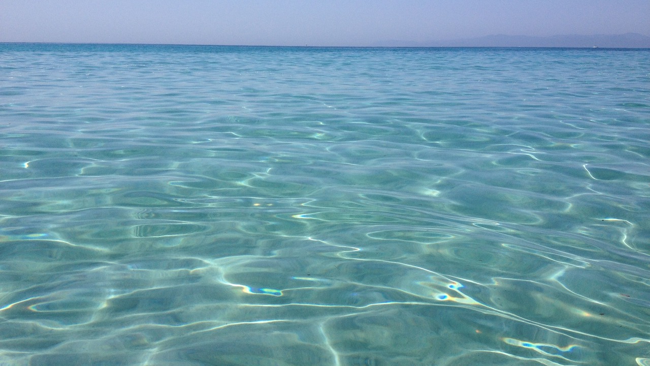 Photo of Others in Cagliari