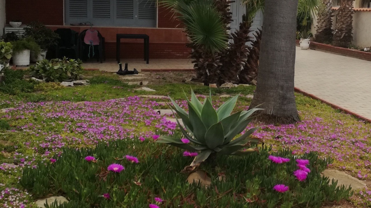 Photo of Outdoor in Marsala