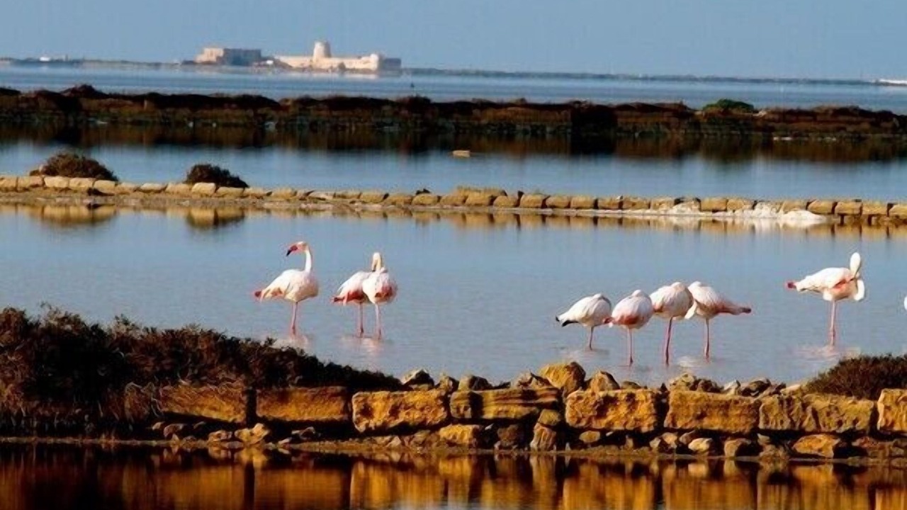 Photo of Outdoor in Marsala
