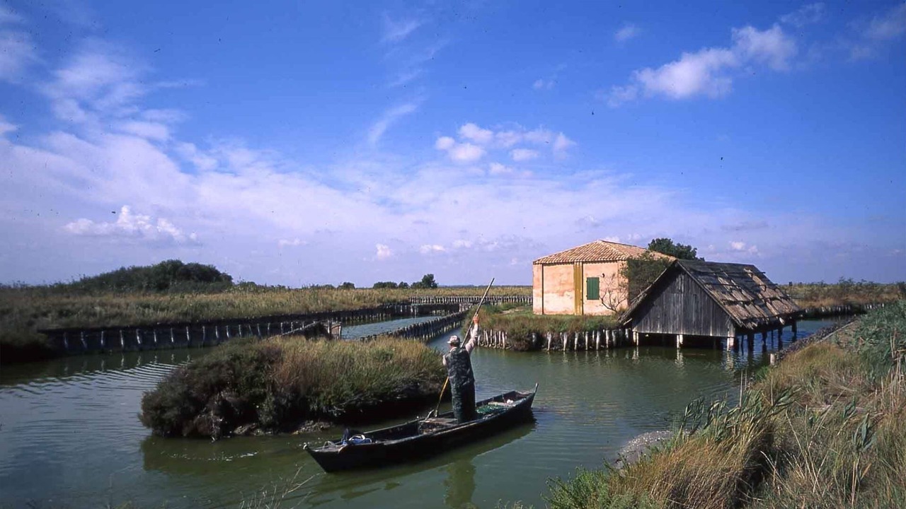 Photo of Outdoor in Lido di Pomposa