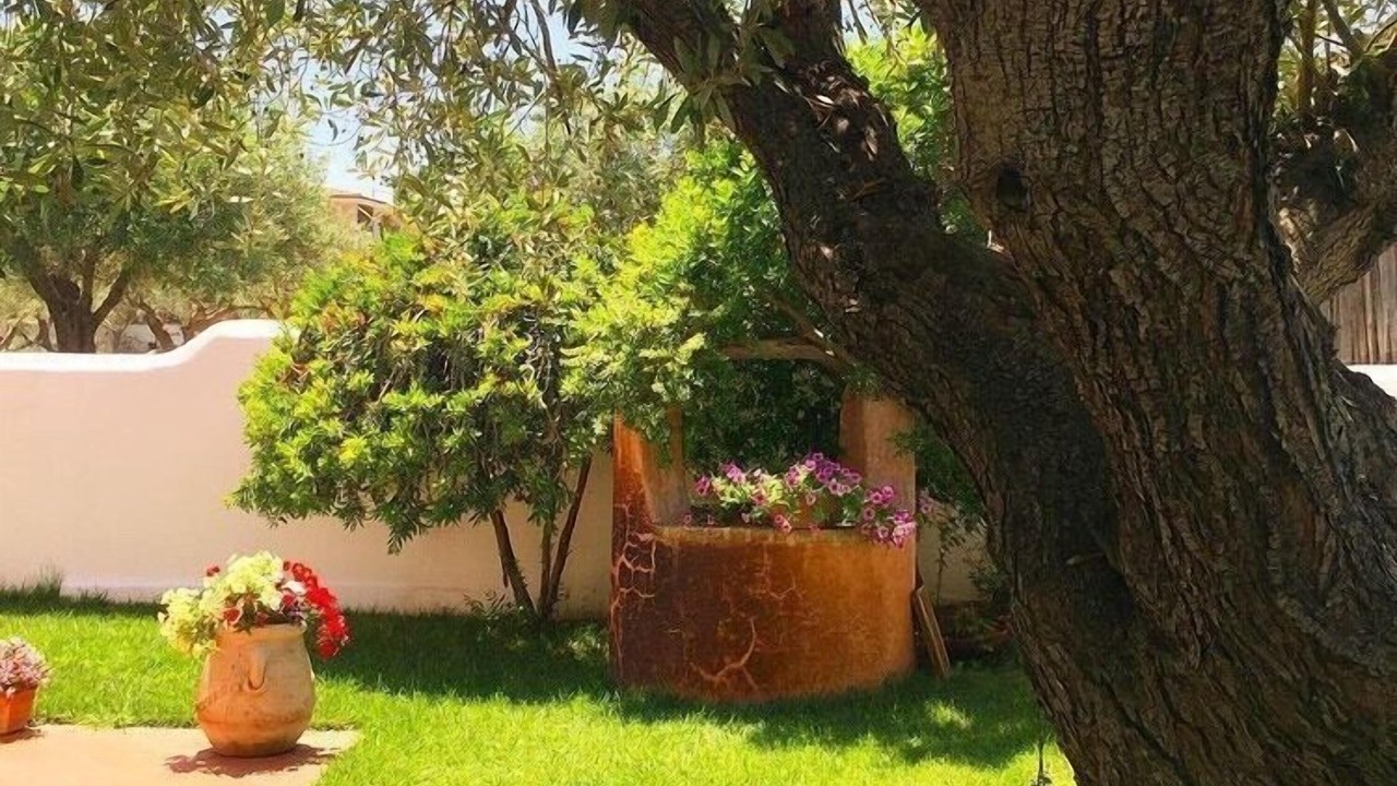 Photo of Outdoor in Orosei