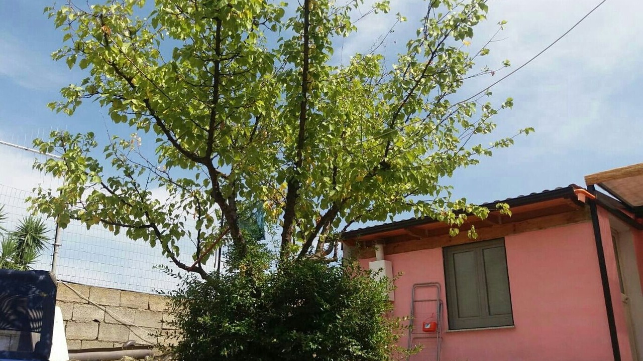 Photo of Outdoor in Posada