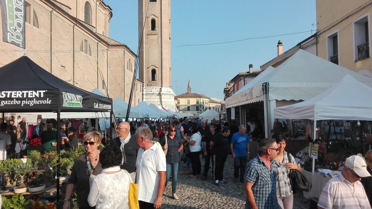 Photo of Others in Lido di Pomposa