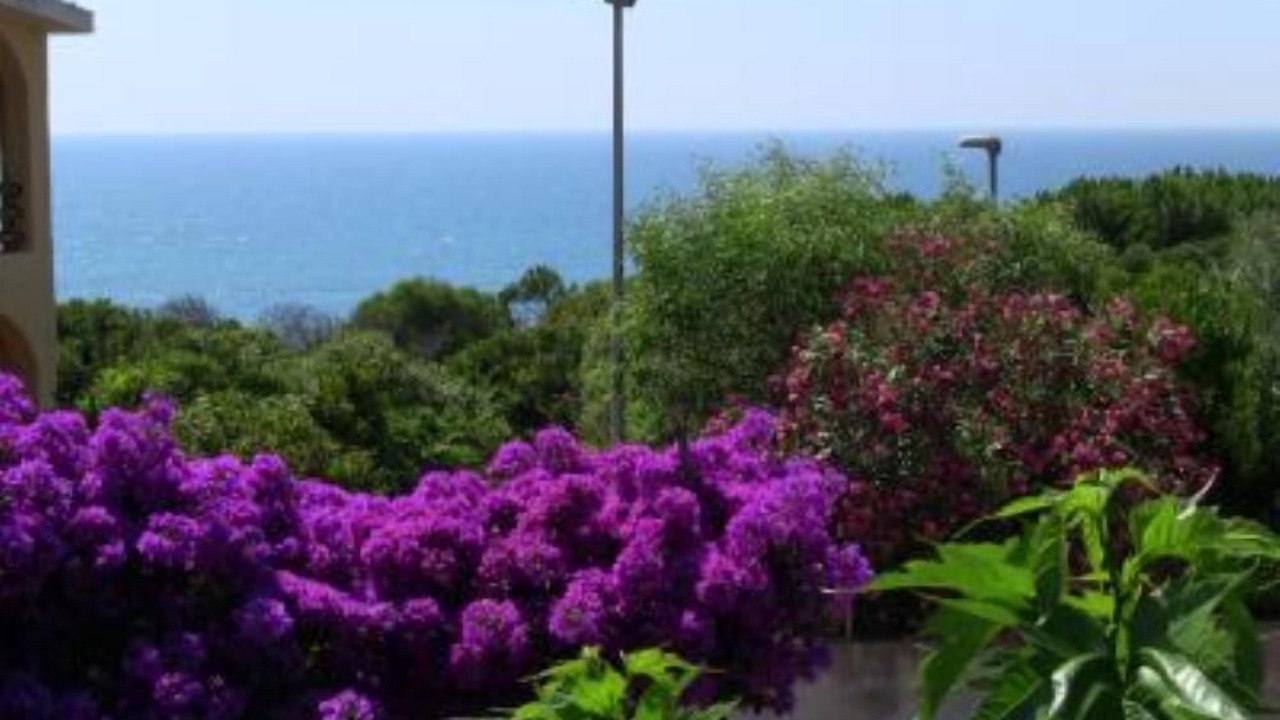 Photo of Others in Torre del Pozzo