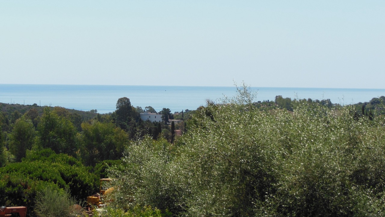 Photo of Others in Tertenia