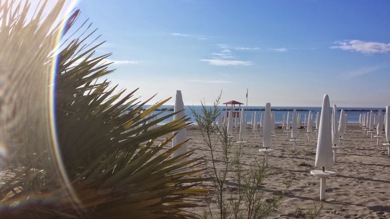 Photo of Others in Lido di Pomposa