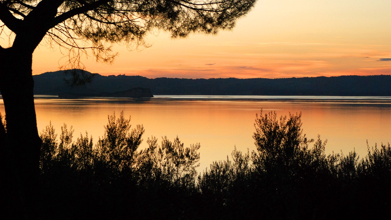 Photo of Others in Montefiascone
