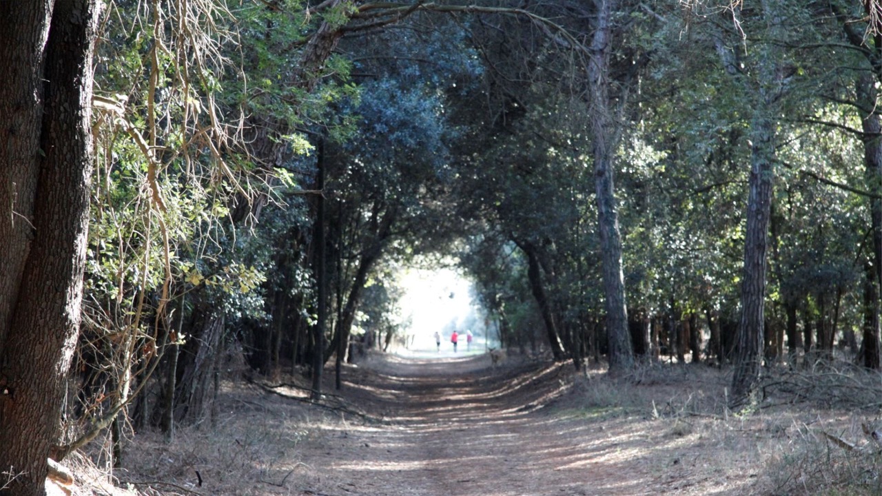 Photo of Outdoor in Lido di Pomposa