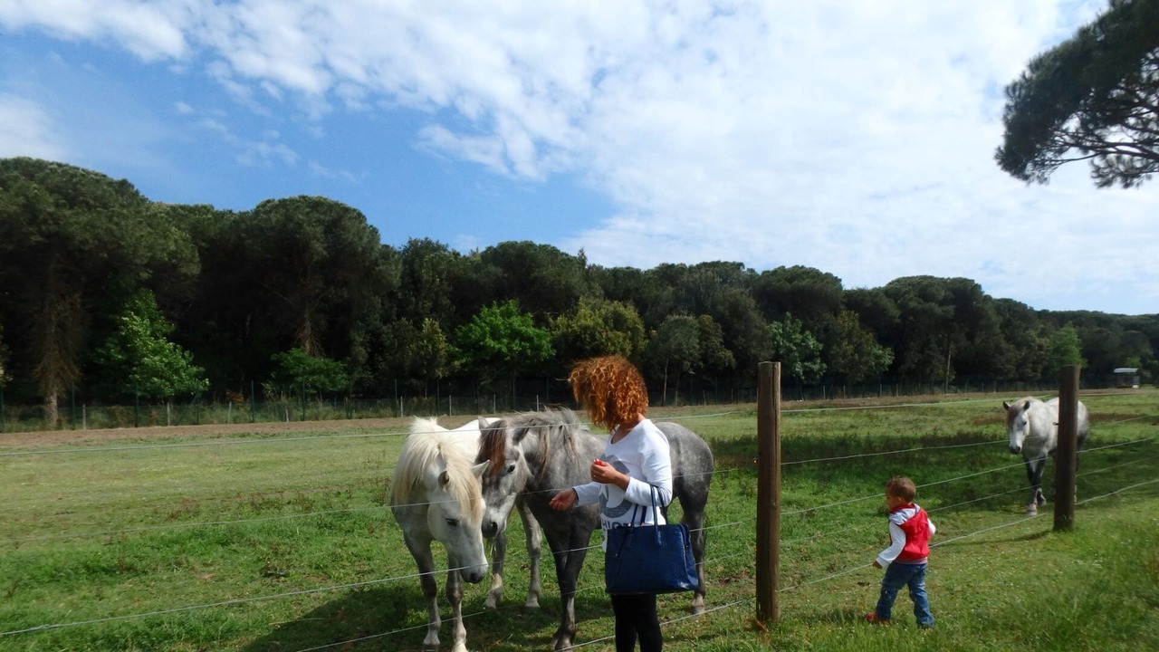 Photo of Others in Lido di Pomposa