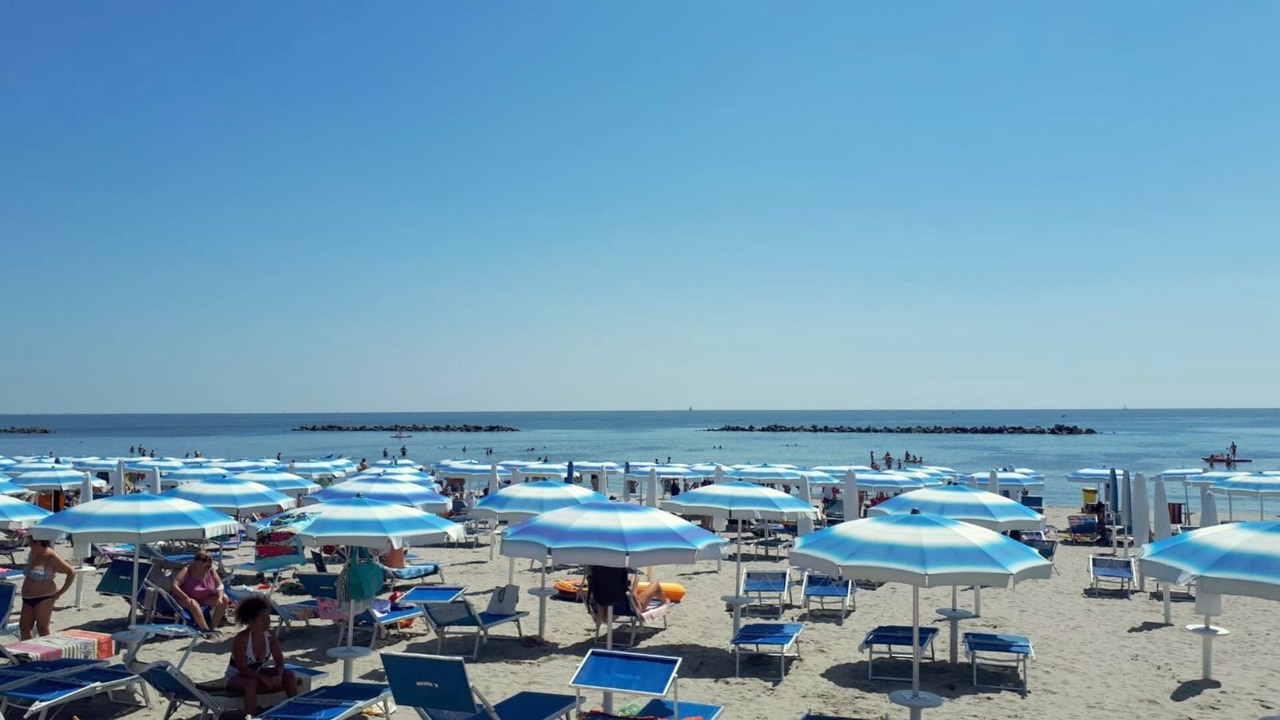 Photo of Others in Lido di Pomposa