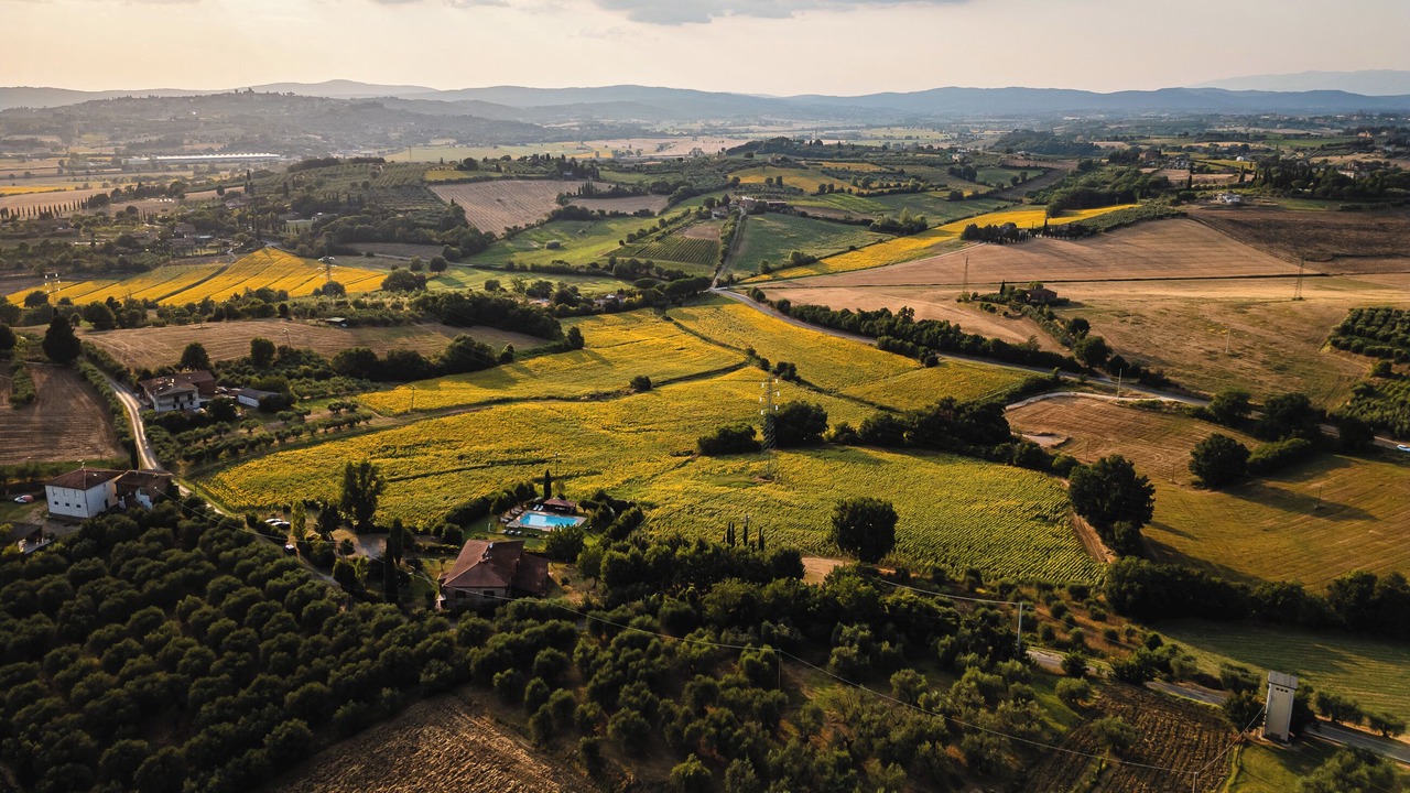 Photo of Outdoor in Foiano della Chiana