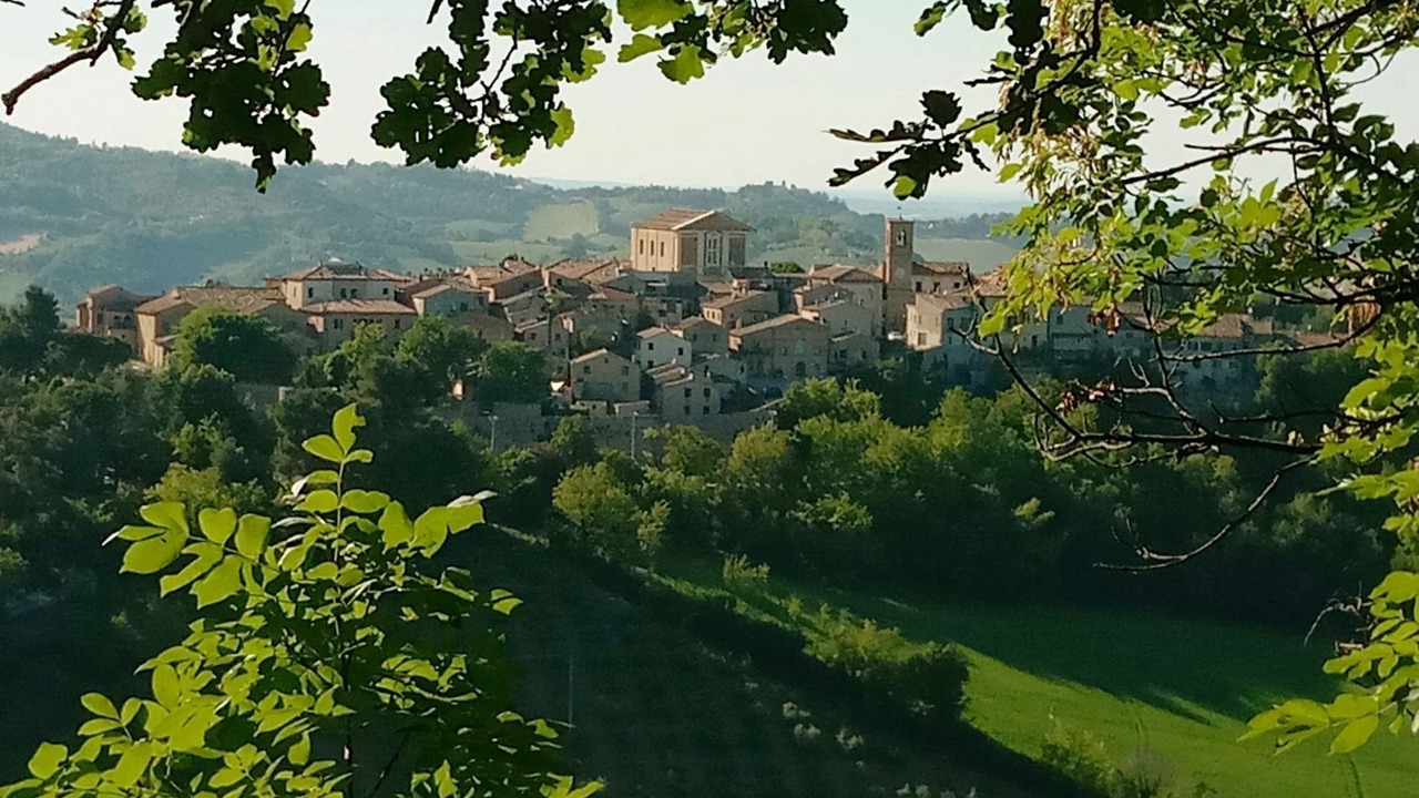 Photo of Outdoor in Mombaroccio