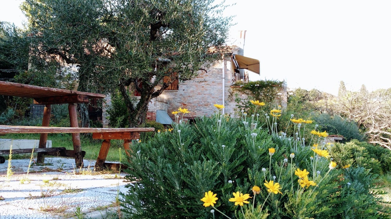 Photo of Outdoor in Mombaroccio