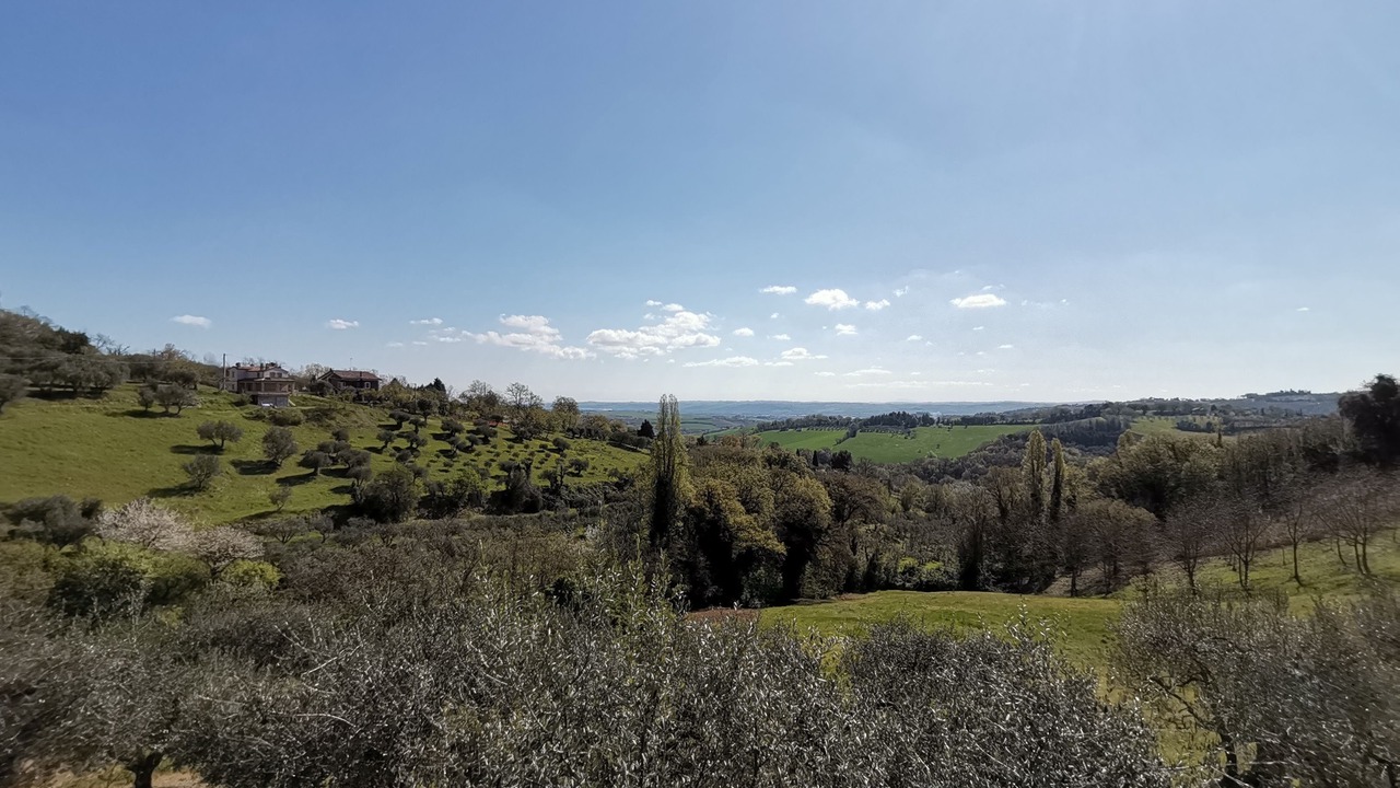 Photo of Outdoor in Mombaroccio