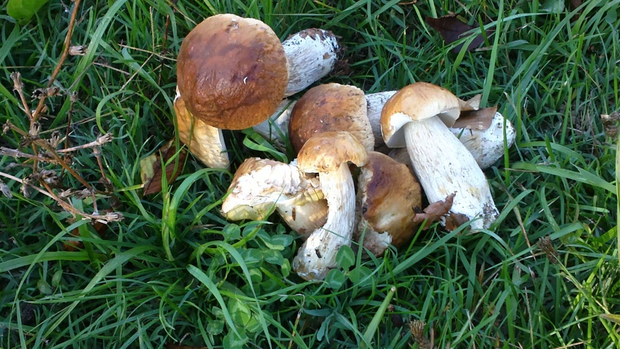 Photo of Outdoor in Urbe