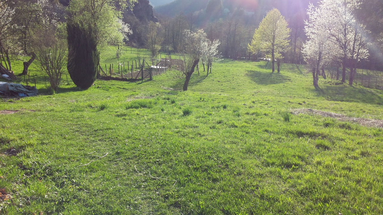 Photo of Outdoor in Urbe