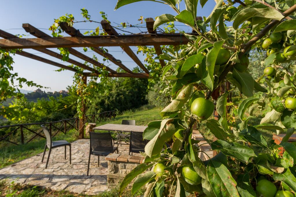Photo of Outdoor in Todi