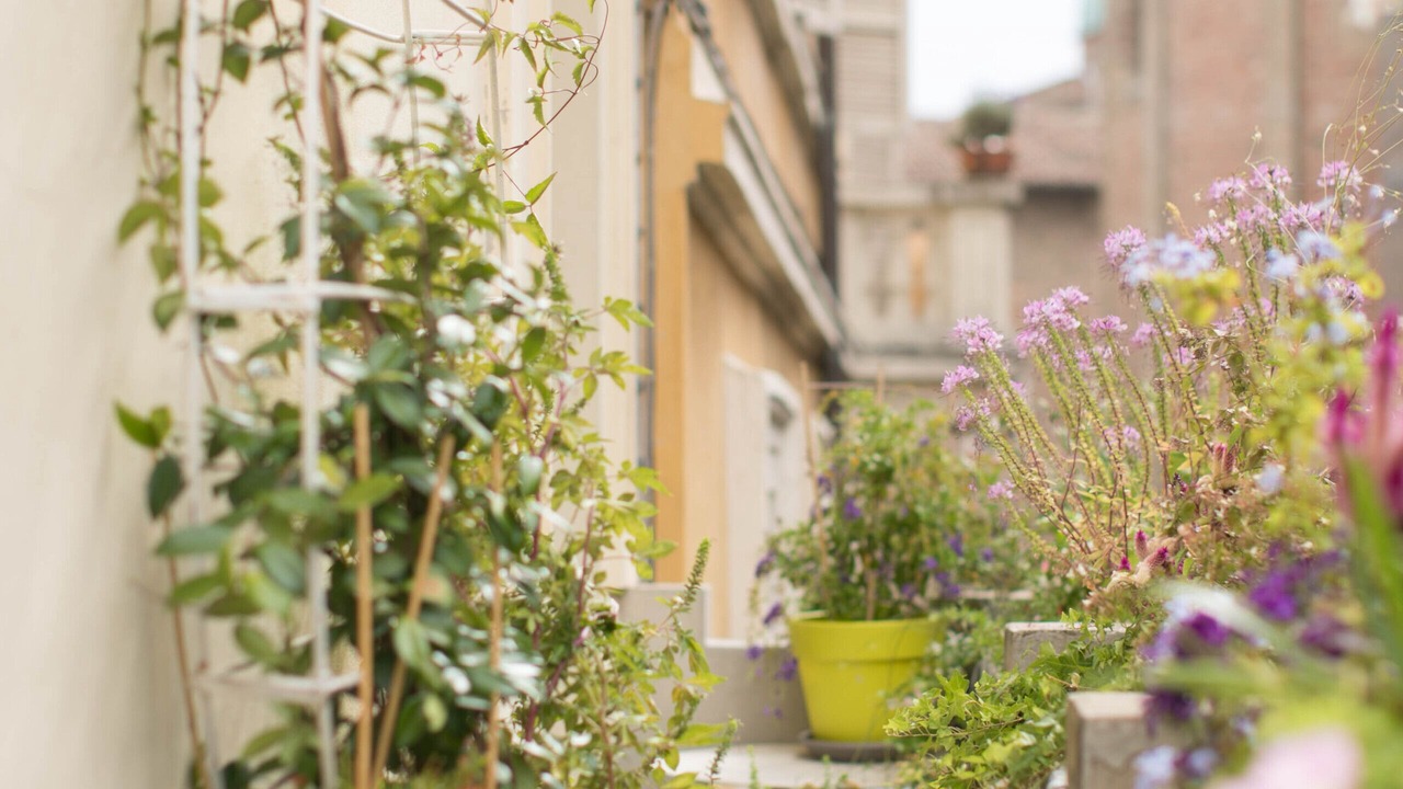 Photo of Outdoor in Parma City Centre