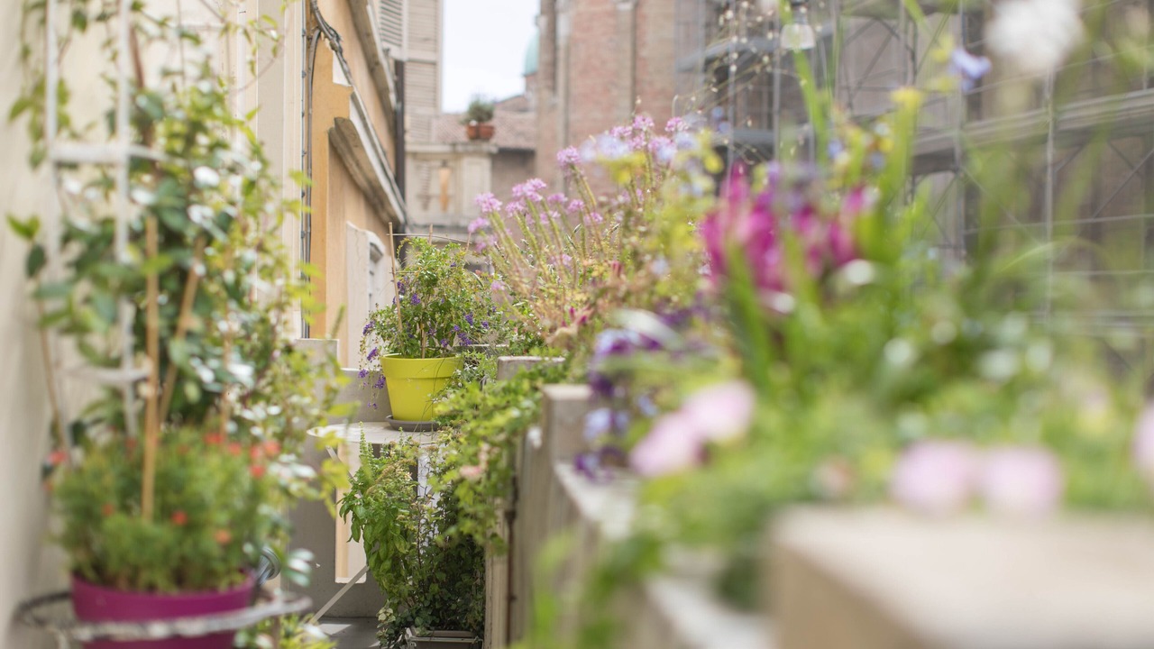 Photo of Outdoor in Parma City Centre